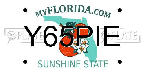 Y65PIE Florida License Plate