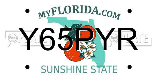 Y65PYR Florida License Plate
