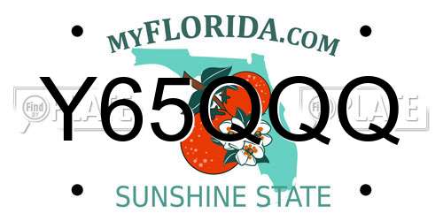 Y65QQQ Florida License Plate
