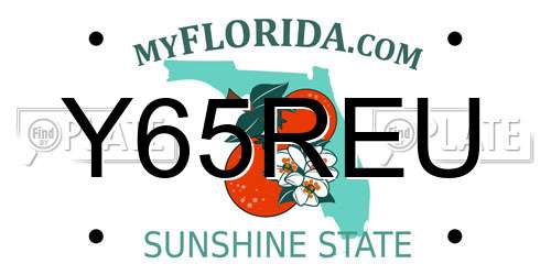 Y65REU Florida License Plate