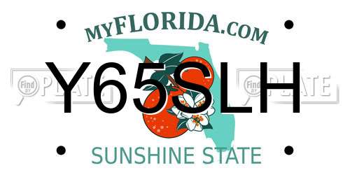 Y65SLH Florida License Plate