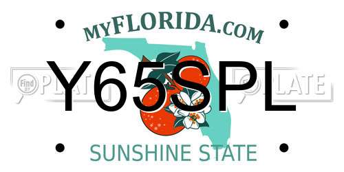 Y65SPL Florida License Plate