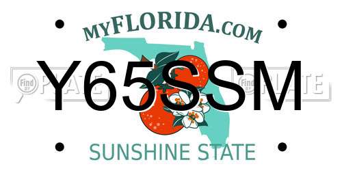 Y65SSM Florida License Plate