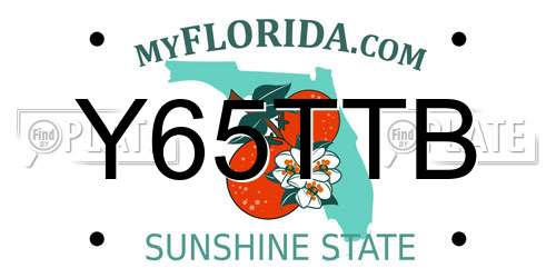 Y65TTB Florida License Plate
