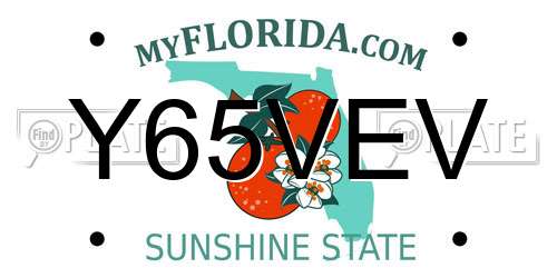 Y65VEV Florida License Plate
