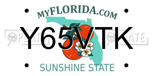 Y65VTK Florida License Plate