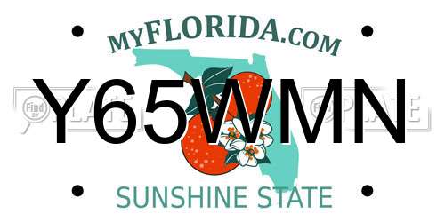 Y65WMN Florida License Plate