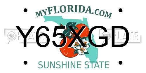 Y65XGD Florida License Plate