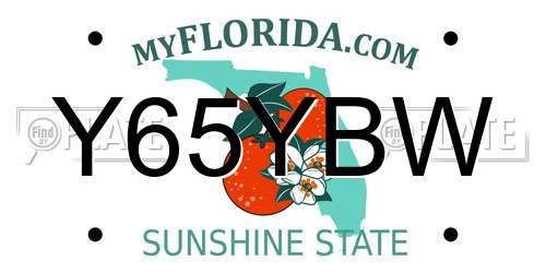 Y65YBW Florida License Plate