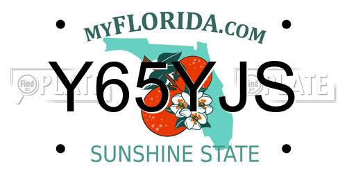 Y65YJS Florida License Plate