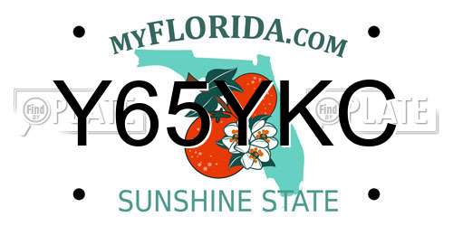 Y65YKC Florida License Plate