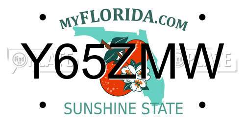 Y65ZMW Florida License Plate