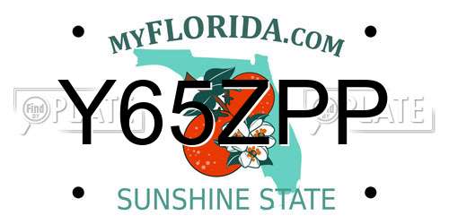 Y65ZPP Florida License Plate