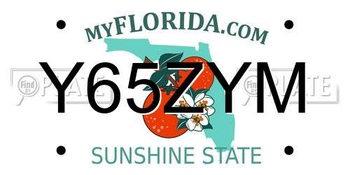 Y65ZYM Florida License Plate