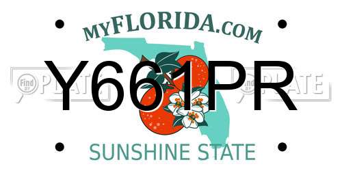 Y661PR Florida License Plate
