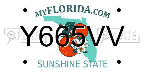 Y665VV Florida License Plate