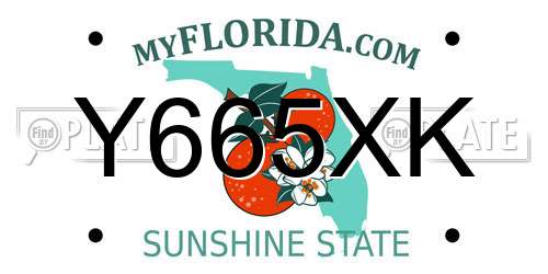 Y665XK Florida License Plate
