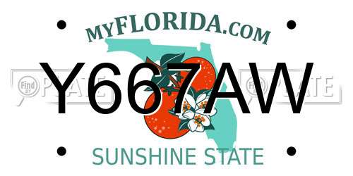 Y667AW Florida License Plate