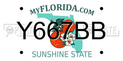Y667BB Florida License Plate