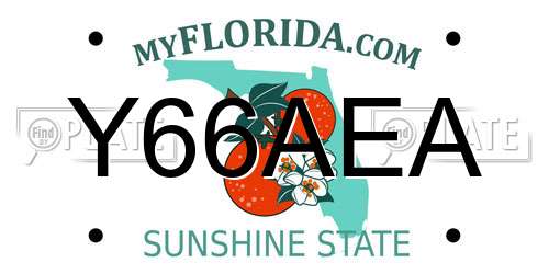 Y66AEA Florida License Plate