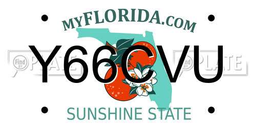 Y66CVU Florida License Plate