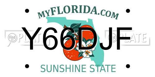 Y66DJF Florida License Plate