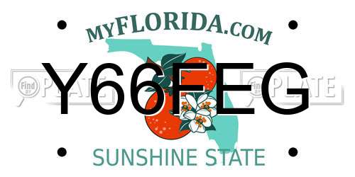 Y66FEG Florida License Plate