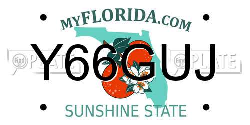 Y66GUJ Florida License Plate