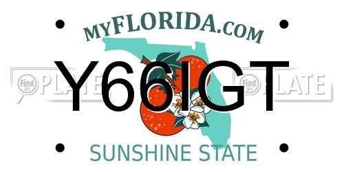 Y66IGT Florida License Plate