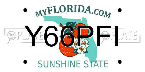 Y66PFI Florida License Plate