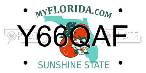 Y66QAF Florida License Plate