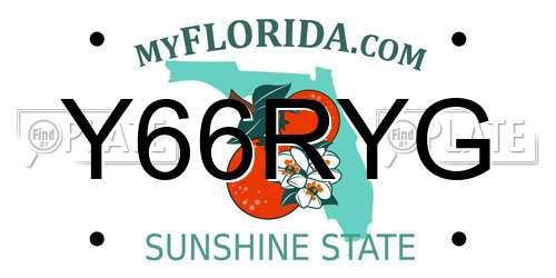 Y66RYG Florida License Plate