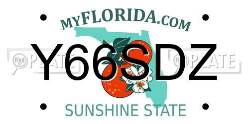 Y66SDZ Florida License Plate