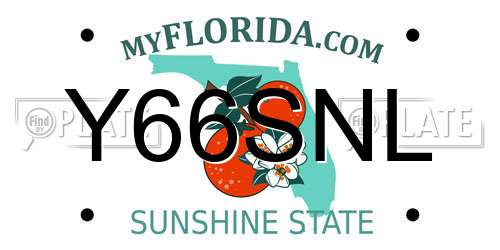 Y66SNL Florida License Plate