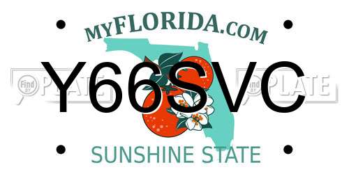 Y66SVC Florida License Plate