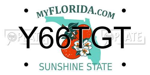 Y66TGT Florida License Plate