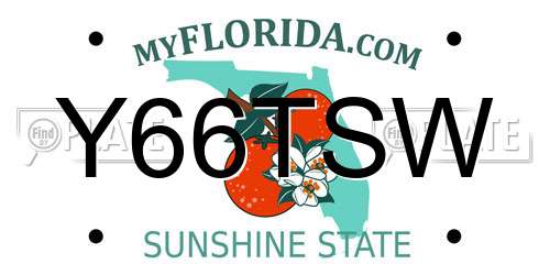 Y66TSW Florida License Plate