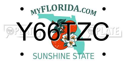Y66TZC Florida License Plate