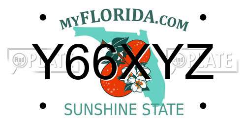 Y66XYZ Florida License Plate