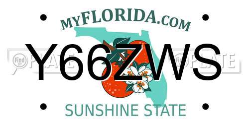 Y66ZWS Florida License Plate