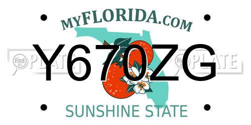 Y670ZG Florida License Plate