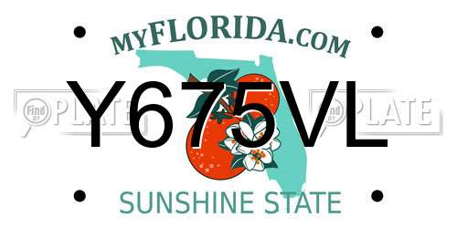 Y675VL Florida License Plate