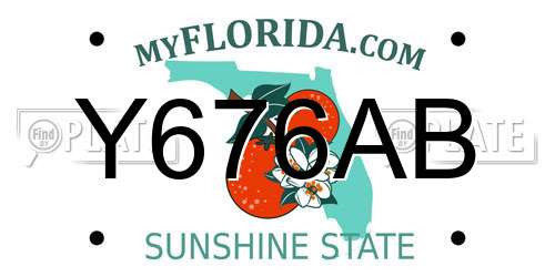 Y676AB Florida License Plate
