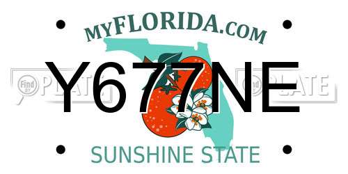 Y677NE Florida License Plate