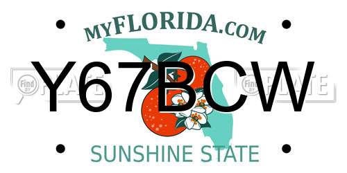 Y67BCW Florida License Plate