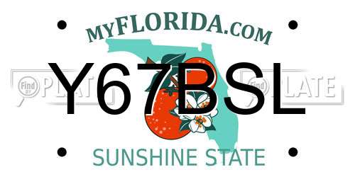 Y67BSL Florida License Plate