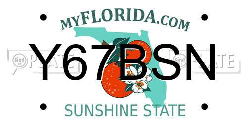 Y67BSN Florida License Plate