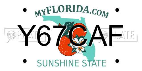 Y67CAF Florida License Plate