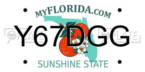 Y67DGG Florida License Plate