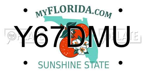 Y67DMU Florida License Plate